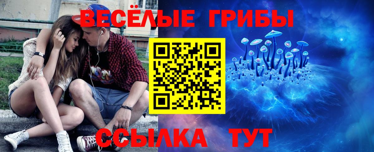 Галлюциногенные грибы Magic Shrooms  Вход с VPN  Богданович 